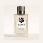 "Lapdus" V19 Dupé de Lapidus Pour Homme de Ted Lapidus-100ml